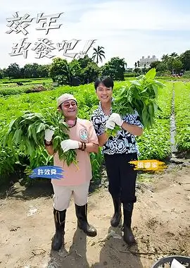 一起去岛上旅行体验综艺全集在线观看